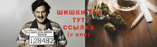 твердый Сатка