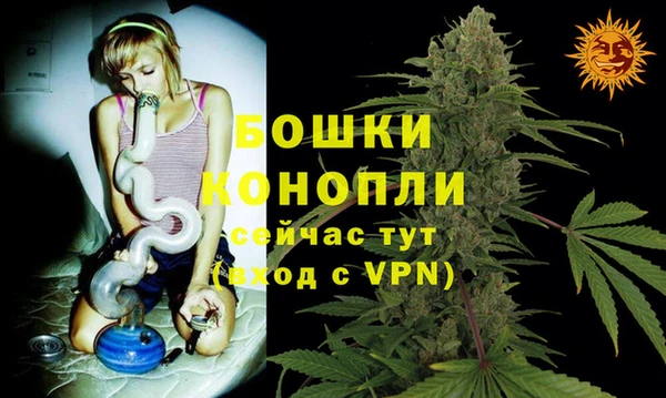 твердый Сатка