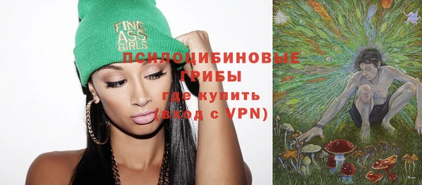 твердый Сатка
